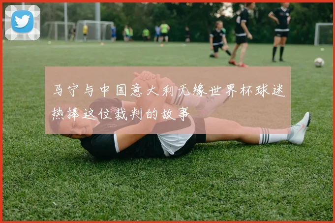 马宁与中国意大利无缘世界杯球迷热捧这位裁判的故事